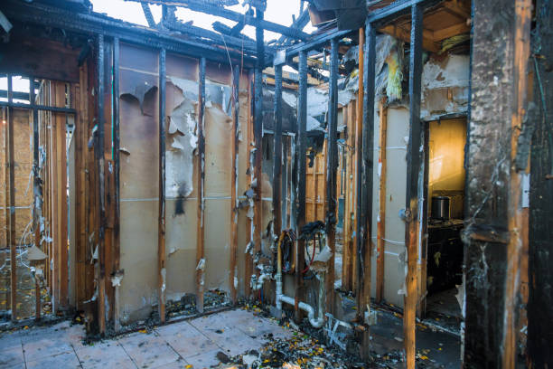 Professional Soot Cleanup technician working in Northfield, KY